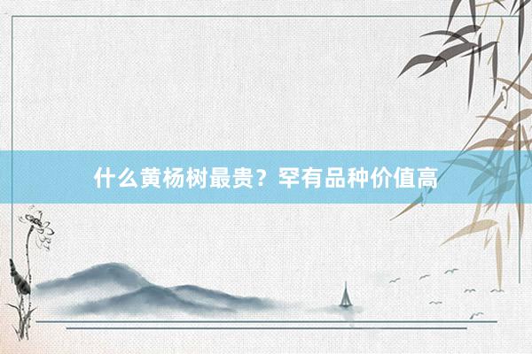 什么黄杨树最贵？罕有品种价值高